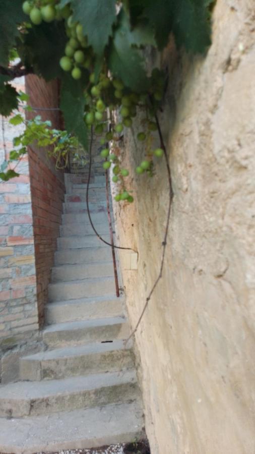 Alojamiento En Sant Marti Villa Rocafort de Vallbona Dış mekan fotoğraf